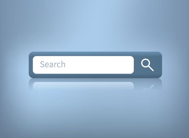 search bar.png
